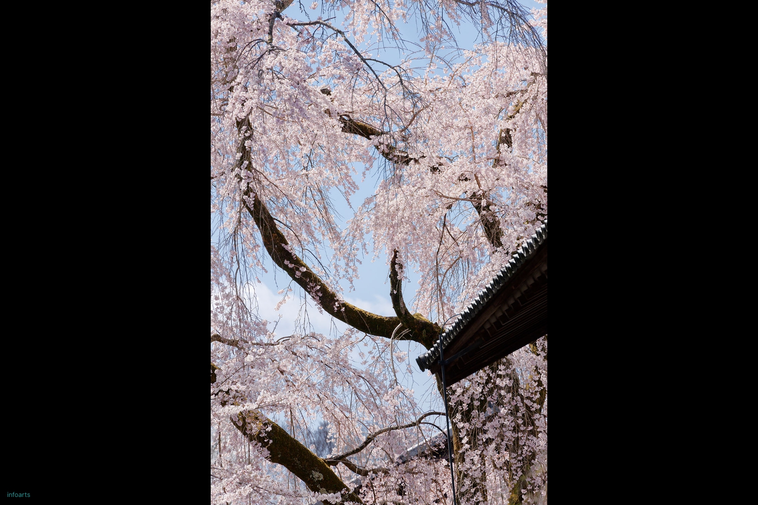 A_05_Kyoto-RAKUEN-ProspectsB_MG4860