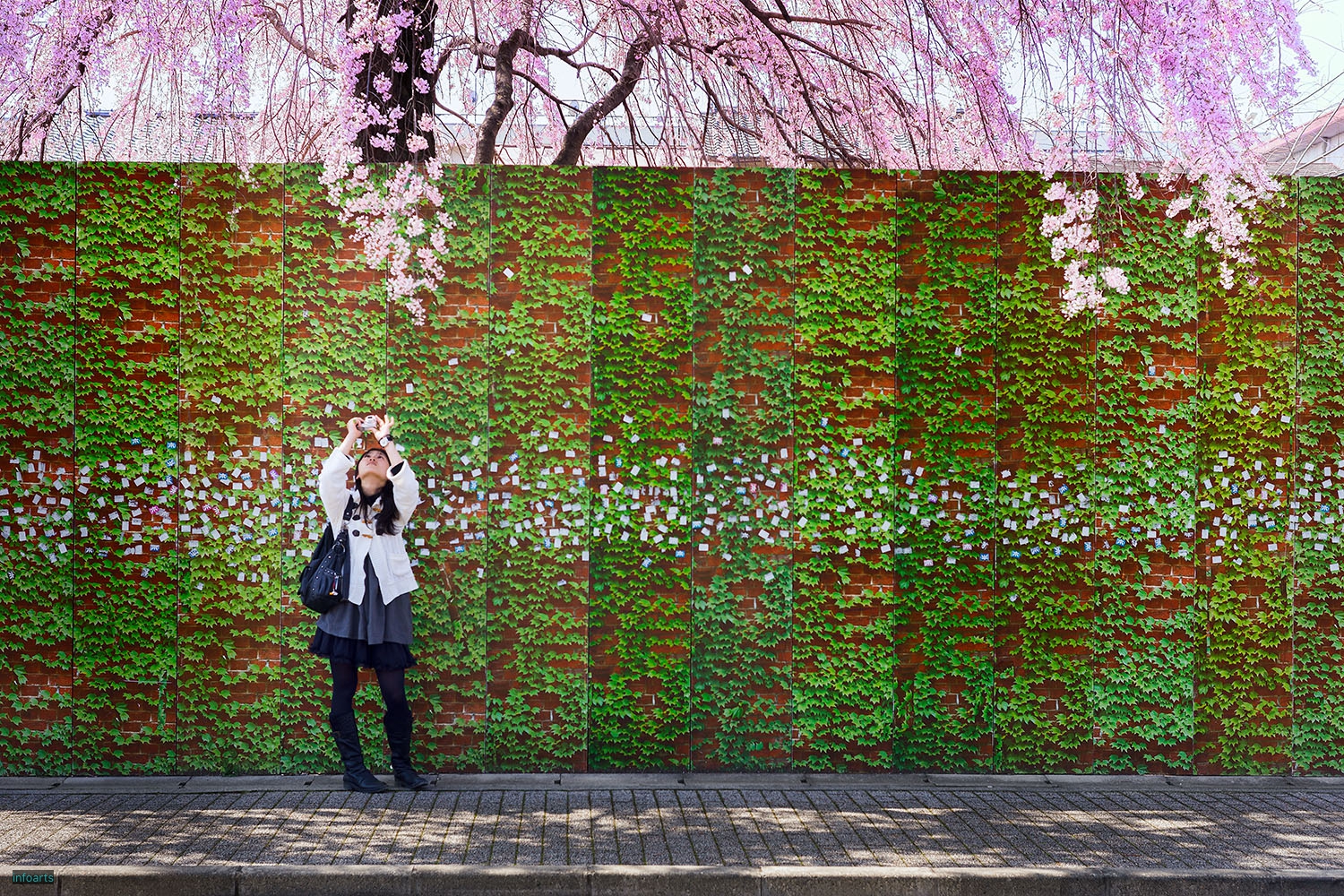 C_15_Kyoto-RAKUEN-ProspectsC_DSC2407