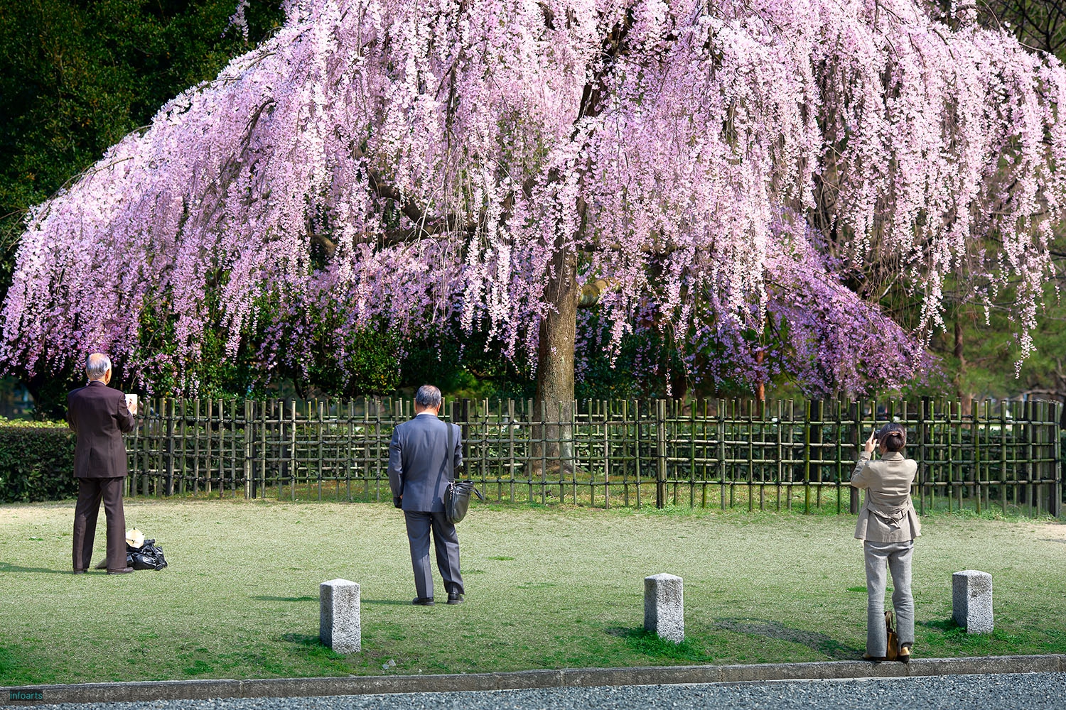 C_16_Kyoto-RAKUEN-ProspectsC_AKL0049