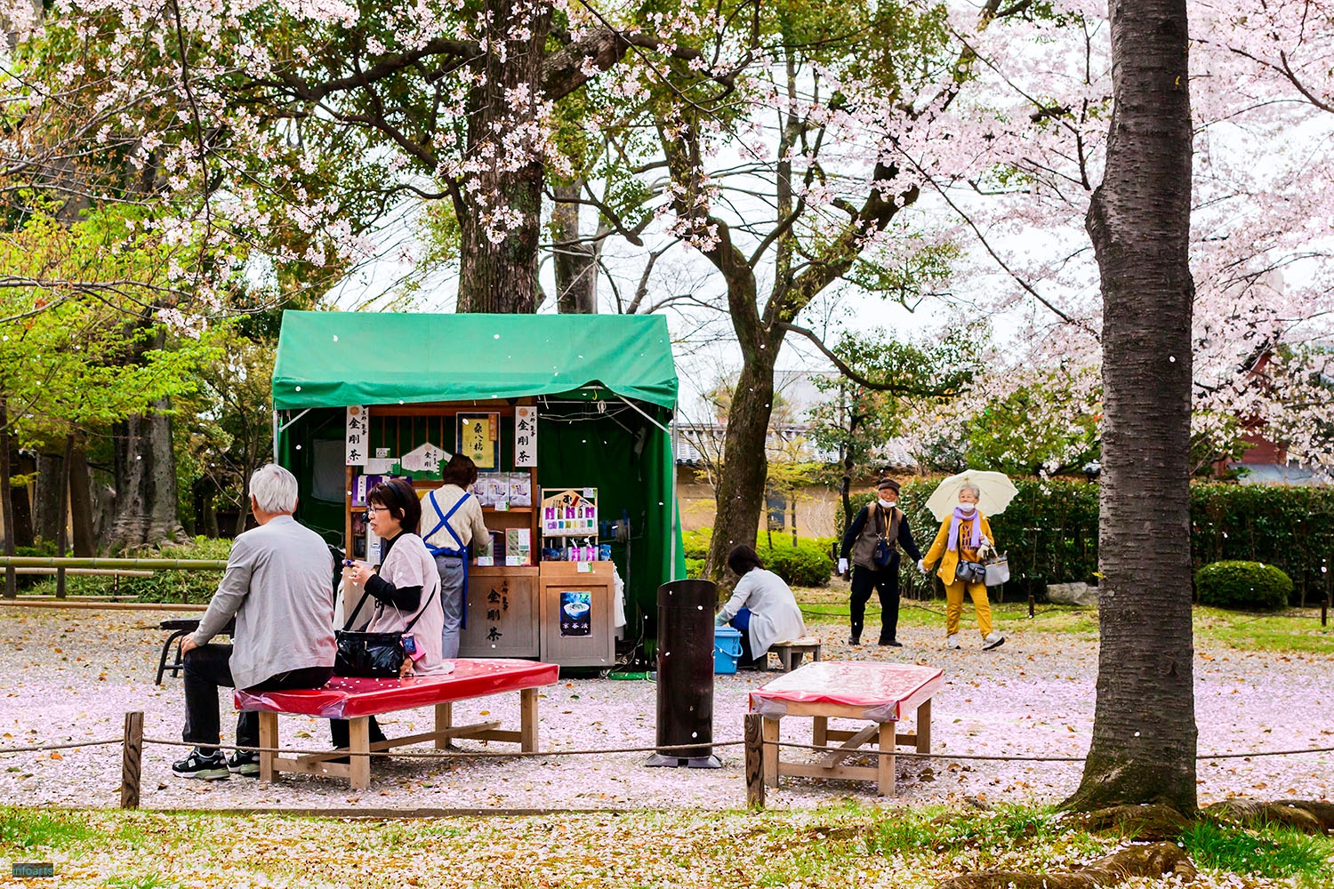 C_蠢動_未出展_MG_2053