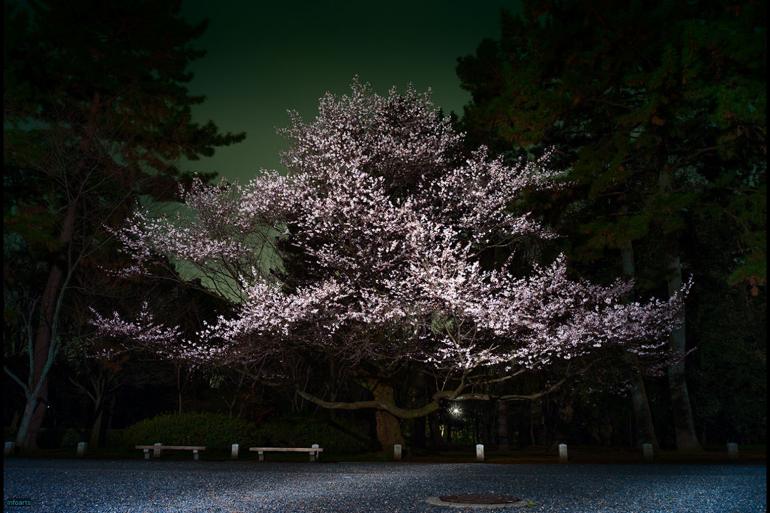 E_27_Kyoto-RAKUEN-ProspectsE_L1060911