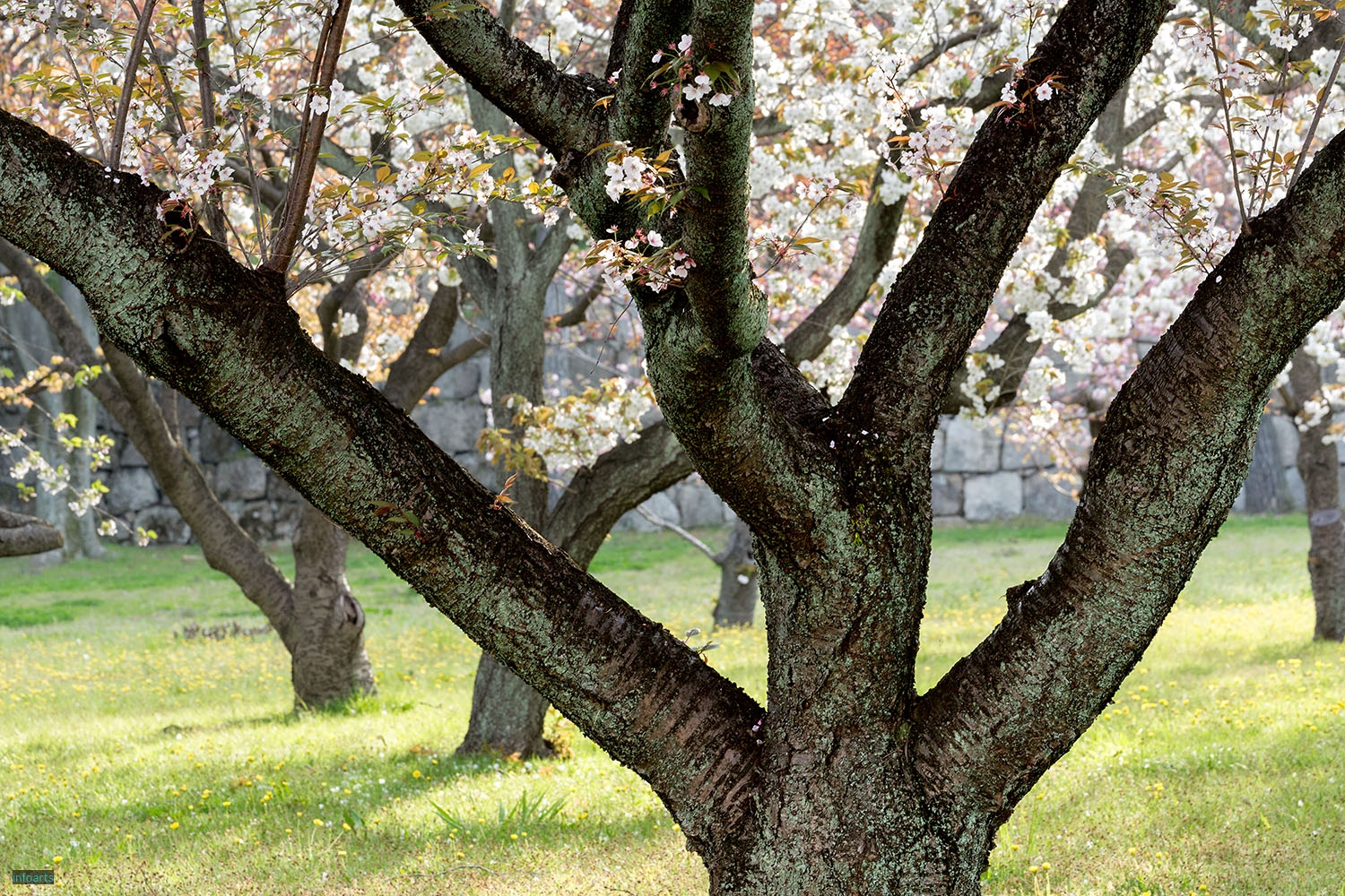 E_28_Kyoto-RAKUEN-ProspectsE_45A5549