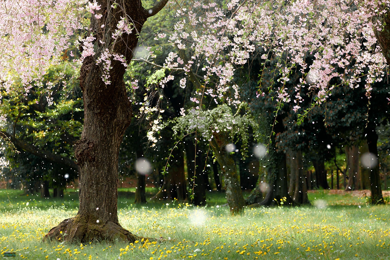 F_32_Kyoto-RAKUEN-ProspectsG_MG_6405