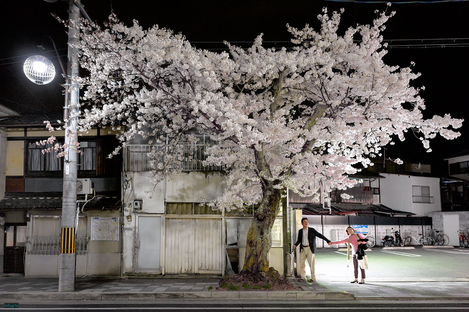 03_帰路の夜桜_M2406544