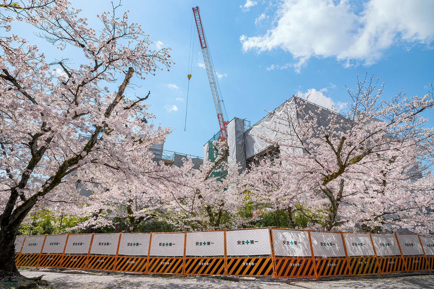 04_立本寺のクレーンと桜_M10A9230